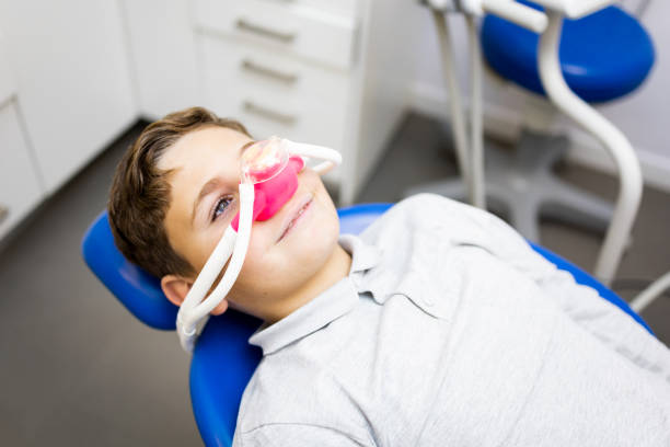 Professional Dental Services in Wesley Chapel, FL